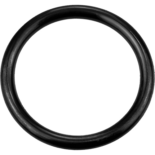 Black Replacement O-Ring, Plain Rideout Tool & Machine Inc.