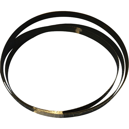 Band Saw Blade, Bi-Metal, 120" L x 3/4" W x 0.032" Thick, 6-10 TPI Rideout Tool & Machine Inc.