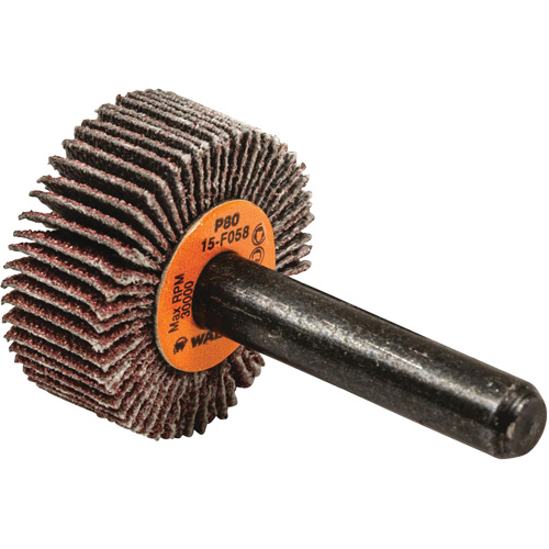 Disques &agrave; lamelles - Meules &agrave; lamelles Coolcut, Oxyde d'aluminium, Grain 80, 1" x 3/8" x 1/4" Rideout Tool & Machine Inc.