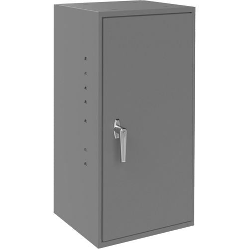 Utility Cabinet, Steel, 2 Shelves, 30" H x 13-3/4" W x 12-3/4" D, Grey Rideout Tool & Machine Inc.