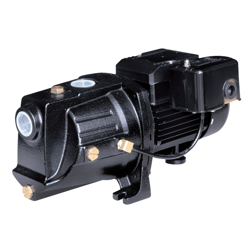 Dual Voltage Cast Iron Shallow Well Jet Pump, 230 V, 710 GPH, 1/2 HP Rideout Tool & Machine Inc.