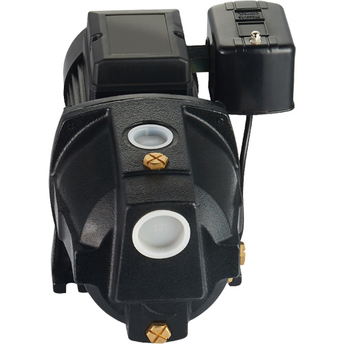 Dual Voltage Cast Iron Shallow Well Jet Pump, 115 V/230 V, 1100 GPH, 1 HP Rideout Tool & Machine Inc.