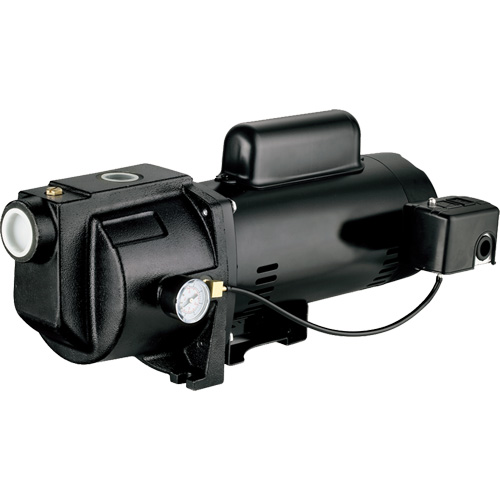 Dual Voltage Cast Iron Shallow Well Jet Pump, 115 V/230 V, 1260 GPH, 1 HP Rideout Tool & Machine Inc.