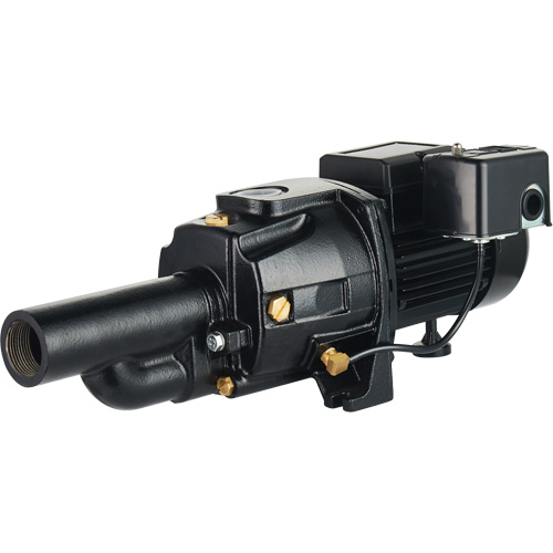 Pompe &agrave; jet en fonte &agrave; double tension transformable, 115 V/230 V, 1400 gal./h, 3/4 CV Rideout Tool & Machine Inc.