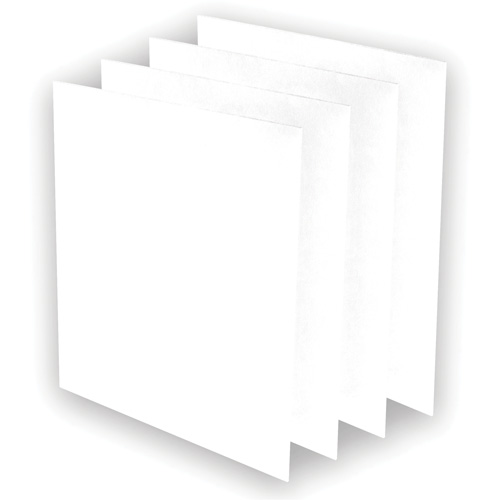 Pr&eacute;-filtres AeraMax Pro AM3 ou AM4, 13,75" la x 0,13" p x 14,38" h Rideout Tool & Machine Inc.