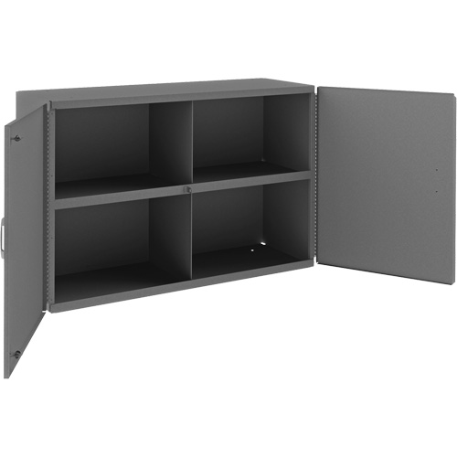 Wall-Mountable Cabinet, 24" H x 33-13/16" W x 12-3/8" D, 1 Shelves, Steel, Grey Rideout Tool & Machine Inc.