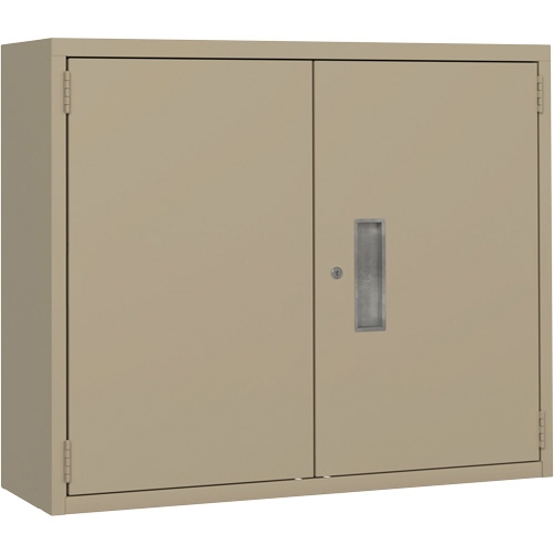 Armoire murale, Acier, 2 Tablettes, 30" h x 36" la x 12" P, Beige Rideout Tool & Machine Inc.