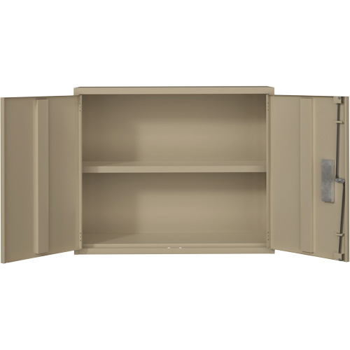 Armoire murale, Acier, 2 Tablettes, 30" h x 36" la x 12" P, Beige Rideout Tool & Machine Inc.