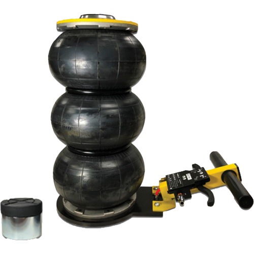 V&eacute;rin &agrave; coussin gonflable triphas&eacute; s&eacute;rie Pro, 2 tonne(s), 22" Hauteur &eacute;lev&eacute;e Rideout Tool & Machine Inc.