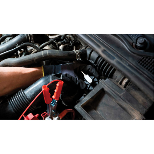 Pompette de purge de freins Brake-Pro &agrave; ch&acirc;ssis court avec adaptateurs Rideout Tool & Machine Inc.