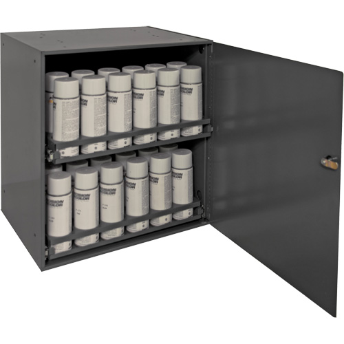 Aerosol Storage Cabinet, Steel, 21-7/8" H x 15-15/16" W x 20-5/16" D, Grey Rideout Tool & Machine Inc.
