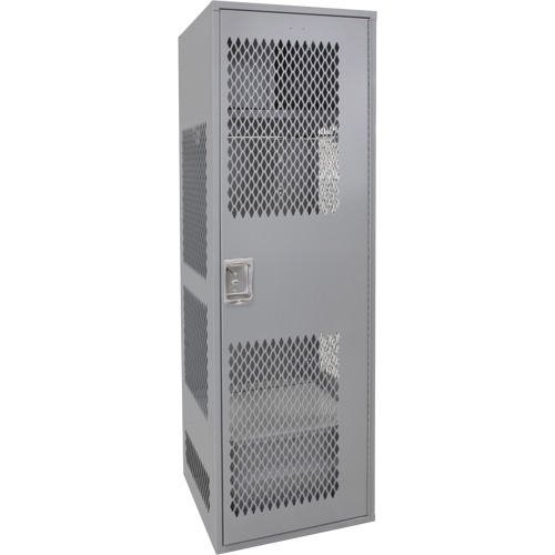 Casier pour &eacute;quipement avec porte, Acier, 24" la x 24" p x 72" h, Gris Rideout Tool & Machine Inc.
