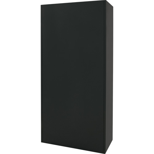 Armoire de rangement Hi-Boy, Acier, 4 Tablettes, 72" h x 36" la x 18" P, Noir Rideout Tool & Machine Inc.