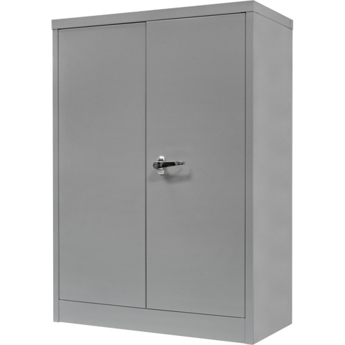 Counter-High Storage Cabinet, Steel, 2 Shelves, 42" H x 36" W x 24" D, Grey Rideout Tool & Machine Inc.