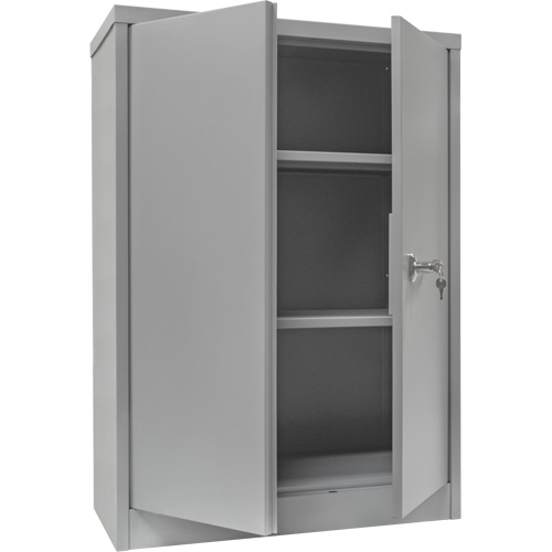Counter-High Storage Cabinet, Steel, 2 Shelves, 42" H x 36" W x 24" D, Grey Rideout Tool & Machine Inc.
