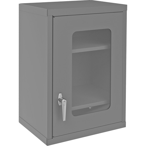 Armoire de rangement murale avec portes transparentes, 26-15/16" h x 18-1/8" la x 13-11/16" p, 2 tablettes, Acier, Gris Rideout Tool & Machine Inc.