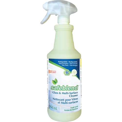 Fragrance-Free Glass & Multi-Surface Cleaner, 950 ml, Trigger Bottle Rideout Tool & Machine Inc.