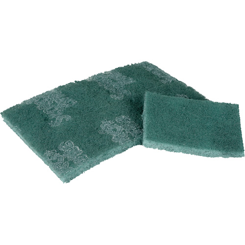 Scrubber Pad, 3" L x 4-1/2" W Rideout Tool & Machine Inc.