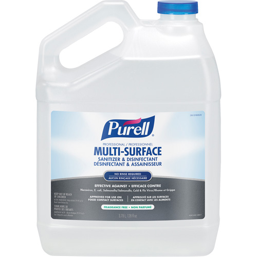 Professional Multi-Surface Sanitizer & Disinfectant, 3.78 L, Jug Rideout Tool & Machine Inc.