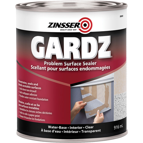 Scellant de surface &agrave; probl&egrave;mes Gardz, 3,61 L, Canette, Transparent Rideout Tool & Machine Inc.
