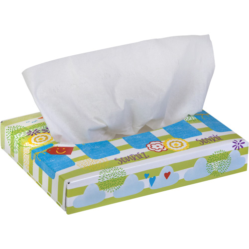 Papiers-mouchoirs pour enfants de Kleenex, 2 pli, 8,4" lo x 5,5" la, 40 feuilles/boîte Rideout Tool & Machine Inc.