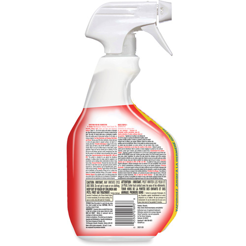 Disinfecting Bio Stain & Odour Remover, 946 ml, Trigger Bottle Rideout Tool & Machine Inc.