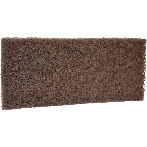 Coarse Scrub Pad, 10" L x 4-1/2" W Rideout Tool & Machine Inc.