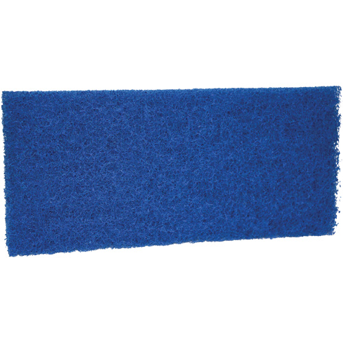 Medium Scrub Pad, 10" L x 4-1/2" W Rideout Tool & Machine Inc.