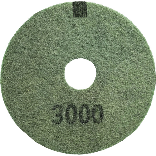 3000 Grit Floor Pad, 16", Scrubbing/Stripping, Black Rideout Tool & Machine Inc.