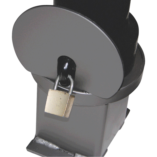 Bornes d&eacute;coratives amovibles, Acier, 40" h x 4-1/2" la, Noir Rideout Tool & Machine Inc.