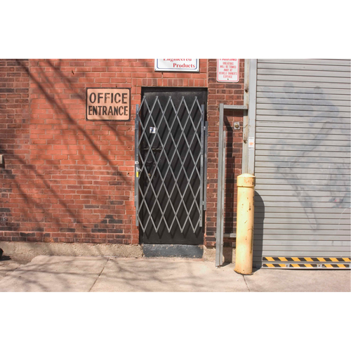 Heavy-Duty Door Gates, Single, 4' L x 5' 9" H Expanded Rideout Tool & Machine Inc.