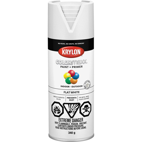 Appr&ecirc;t + peinture COLORmaxx, Blanc, Tr&egrave;s mat, 12 oz, Canette a&eacute;rosol Rideout Tool & Machine Inc.