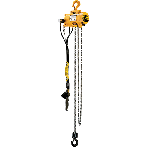 Budgit&reg; Air Chain Hoists Rideout Tool & Machine Inc.