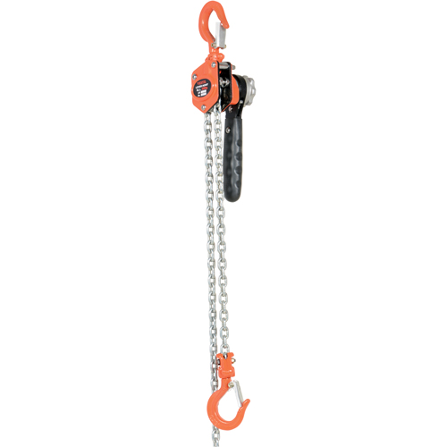 Mini Lever Hoist, 10' Lift, 500 lbs. (0.25 tons) Capacity, Steel Chain Rideout Tool & Machine Inc.