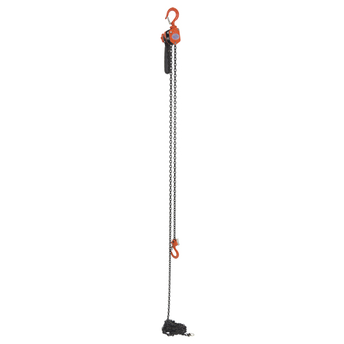 Mini Lever Hoist, 15' Lift, 500 lbs. (0.25 tons) Capacity, Steel Chain Rideout Tool & Machine Inc.