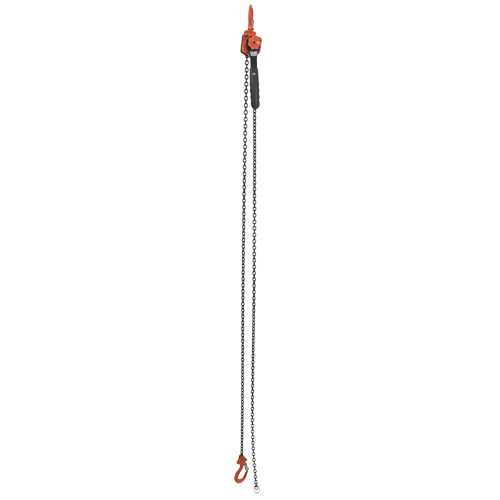 Mini Lever Hoist, 10' Lift, 1000 lbs. (0.5 tons) Capacity, Steel Chain Rideout Tool & Machine Inc.