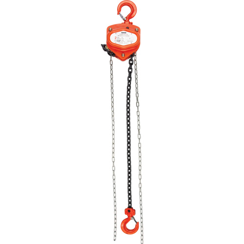 Palan &agrave; chaîne, Lev&eacute;e 10', Capacit&eacute; 1000 lb (0,5 tonnes), Chaîne Acier alli&eacute; Rideout Tool & Machine Inc.