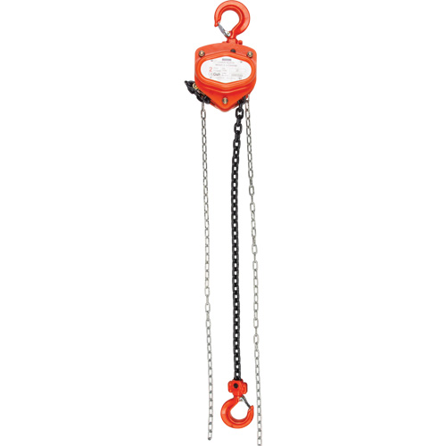 Palan &agrave; chaîne, Lev&eacute;e 20', Capacit&eacute; 1000 lb (0,5 tonnes), Chaîne Acier alli&eacute; Rideout Tool & Machine Inc.