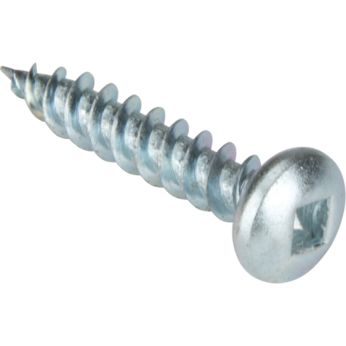 Vis taraudeuse &agrave; t&ecirc;te cylindrique, #10 x 1-1/4" lo, Zingu&eacute; Rideout Tool & Machine Inc.