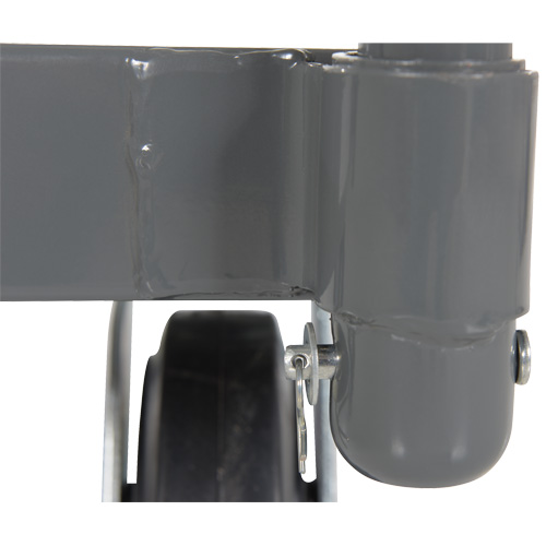 Platform Truck, 48" L x 24" W, 2000 lbs. Capacity, Rubber Casters Rideout Tool & Machine Inc.