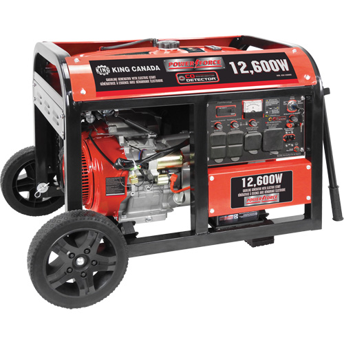 G&eacute;n&eacute;ratrice &agrave; essence &agrave; d&eacute;marreur &eacute;lectrique, 12600 W de surtension, 9000 W nominale, 120 V/240 V, R&eacute;servoir de 31 L Rideout Tool & Machine Inc.
