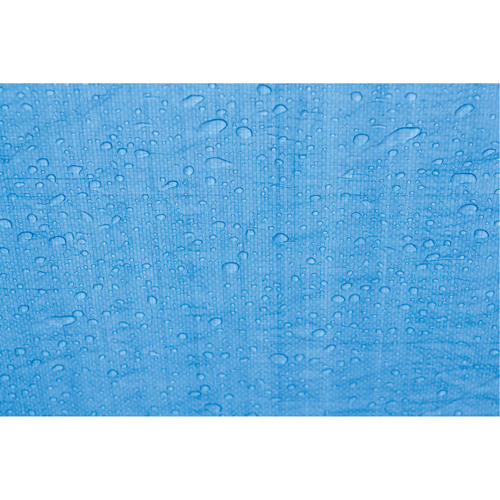 B&acirc;che, Standard, Bleu, 8' x 6' x 4 mils Rideout Tool & Machine Inc.