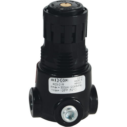 Wilkerson Miniature Regulator R03, 1/8" NPT, 300 psi Max. PSI, Standard Rideout Tool & Machine Inc.