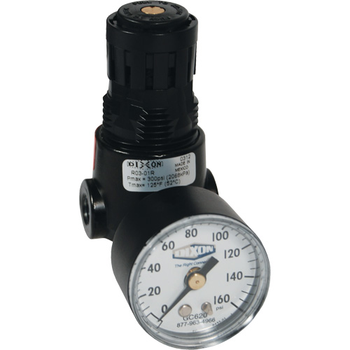 R&eacute;gulateur miniature R04 Wilkerson, 1/4" NPT, PSI max. de 300 psi, Standard Rideout Tool & Machine Inc.