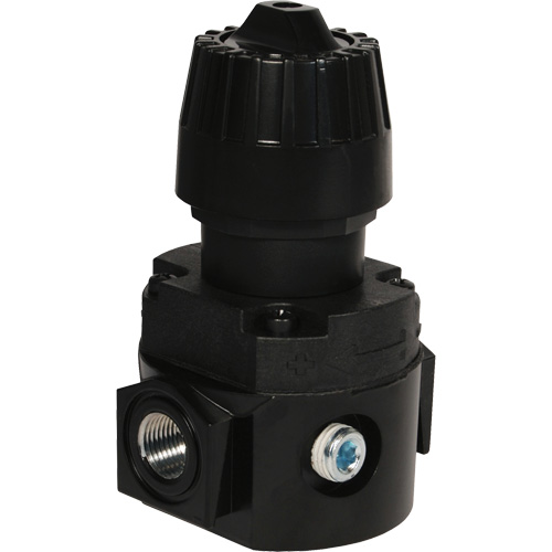 Wilkerson Compact Regulator R16, 1/4" NPT, 300 psi Max. PSI, Standard Rideout Tool & Machine Inc.