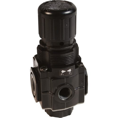 Series 1 Manifold Regulator, 1/4" NPT, 150 PSI Max. PSI, Standard Rideout Tool & Machine Inc.