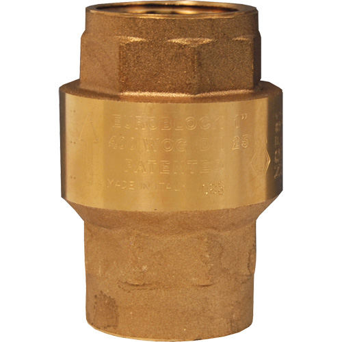 Horizontal Swing Check Valve Rideout Tool & Machine Inc.