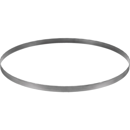Lame de scie &agrave; ruban sans fil, Bim&eacute;tal, 32-7/8" lo x &eacute;paisseur 0,02", 14-18 dents par pouce Rideout Tool & Machine Inc.