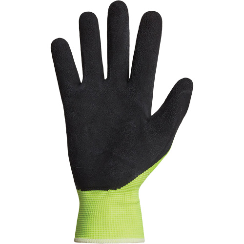 Dexterity&reg; Coated Gloves, 10, Latex Coating, 13 Gauge, Polyester Shell Rideout Tool & Machine Inc.