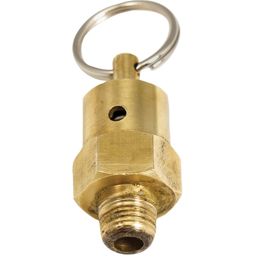Viton&reg; Pressure Relief Valve Rideout Tool & Machine Inc.
